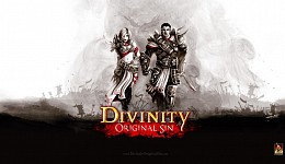 Divinity Original Sin